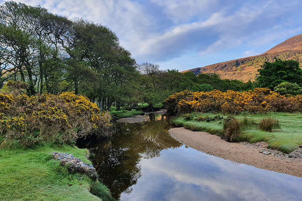 Isle of Arran Estuary