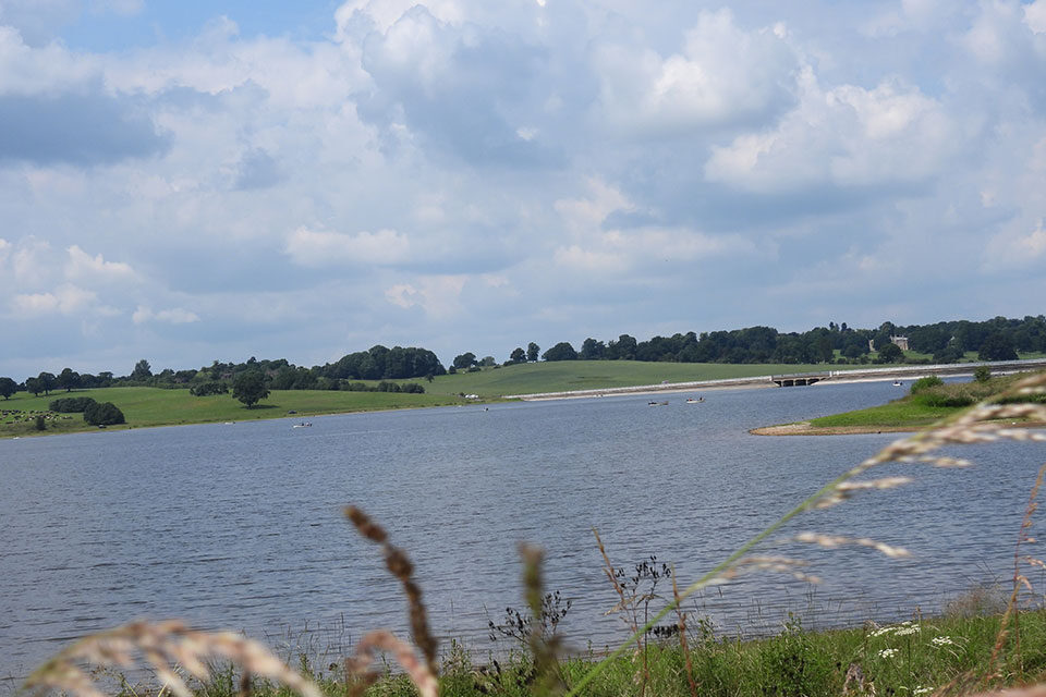 Reservoir with bridge