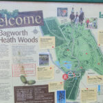 Bagworth Heath